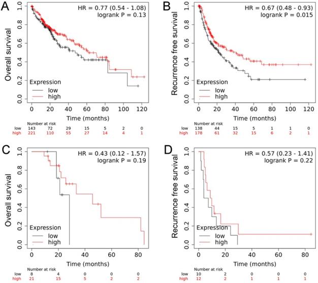 J Cancer Image