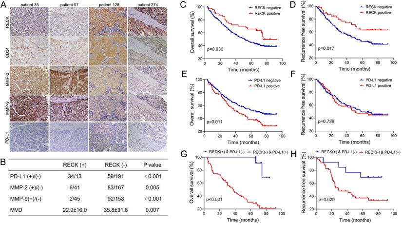 J Cancer Image