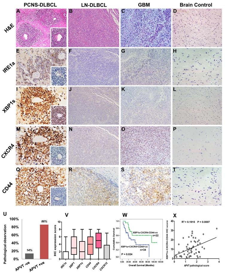 J Cancer Image