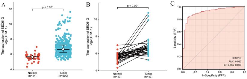 J Cancer Image