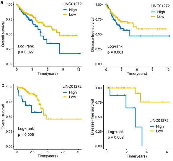 J Cancer Image