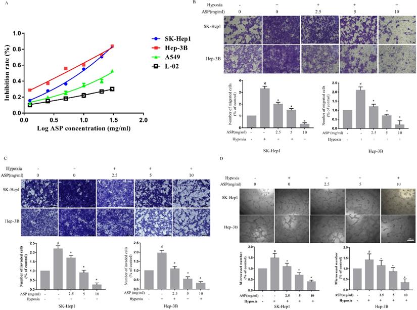 J Cancer Image