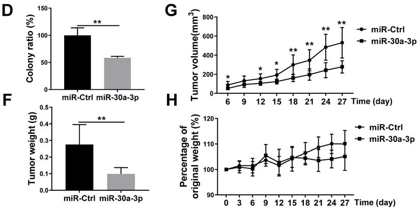 J Cancer Image