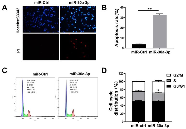 J Cancer Image