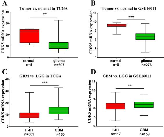 J Cancer Image