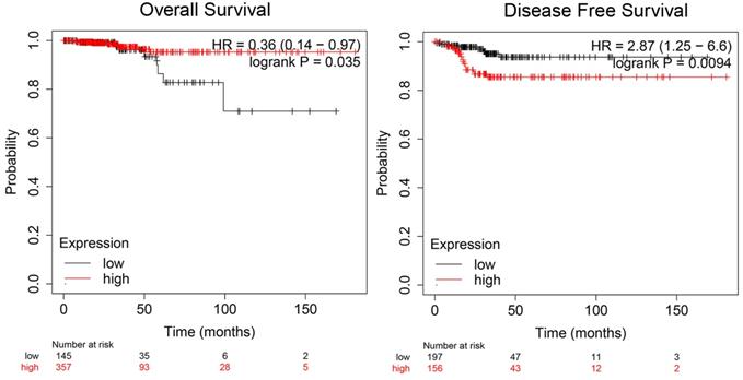 J Cancer Image