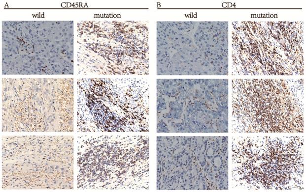 J Cancer Image