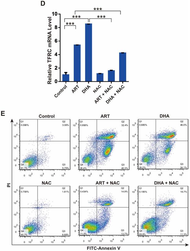 J Cancer Image