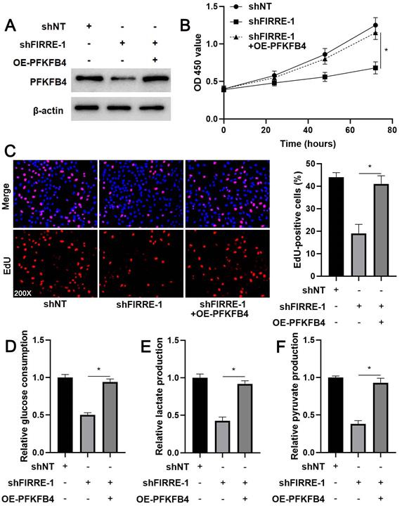 J Cancer Image