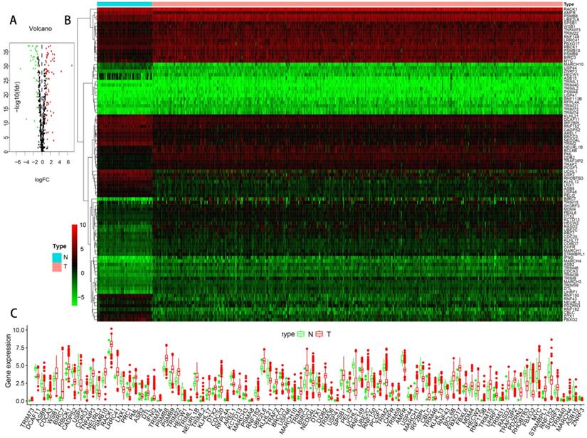 J Cancer Image