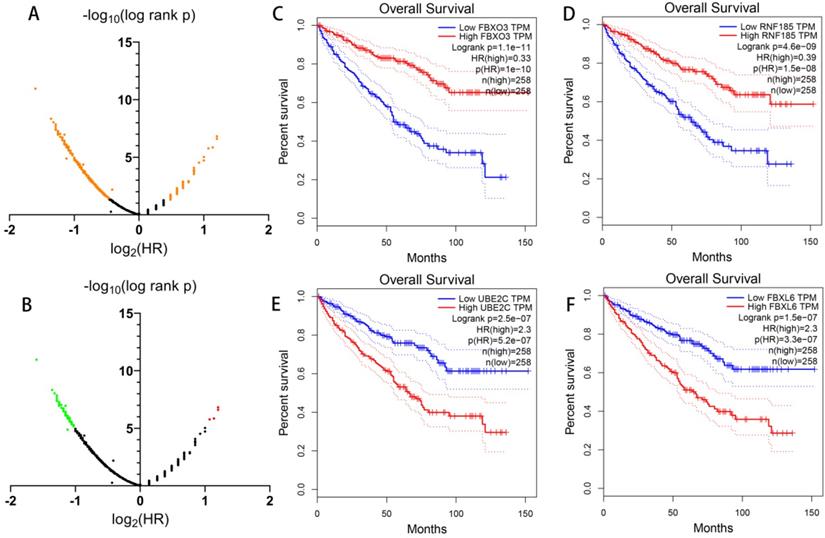 J Cancer Image