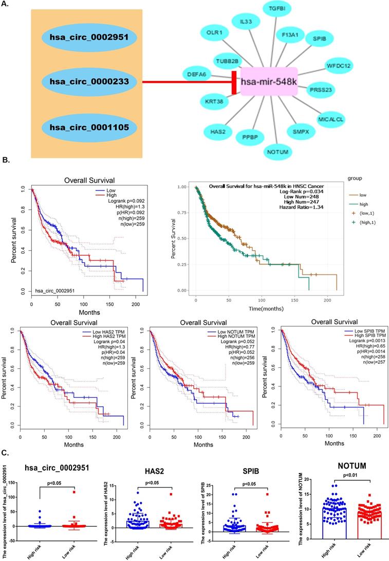 J Cancer Image