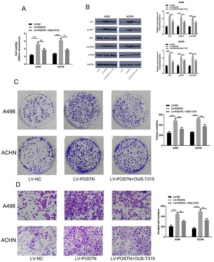 J Cancer Image