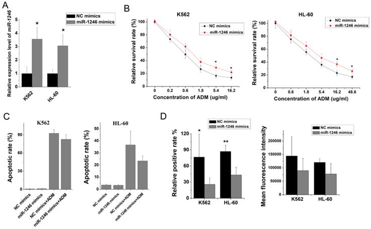 J Cancer Image