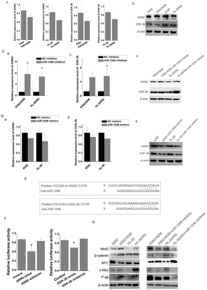 J Cancer Image