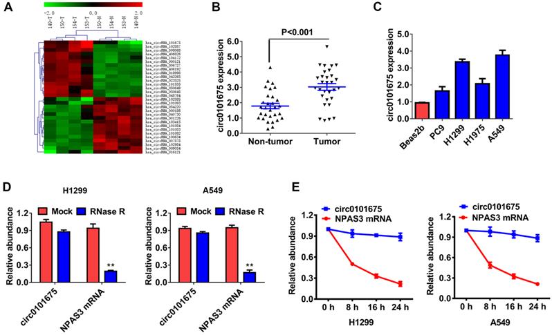 J Cancer Image