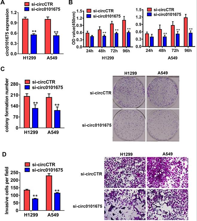 J Cancer Image