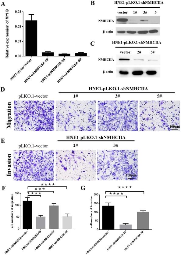 J Cancer Image