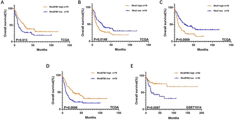 J Cancer Image