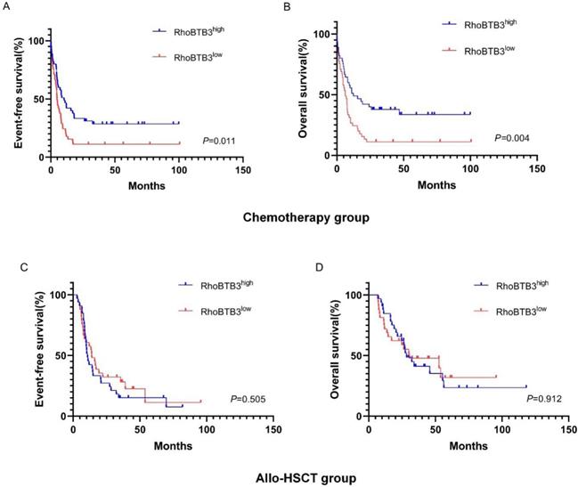 J Cancer Image