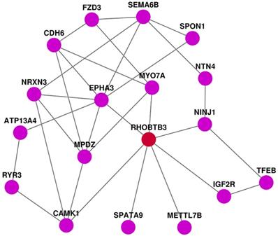 J Cancer Image