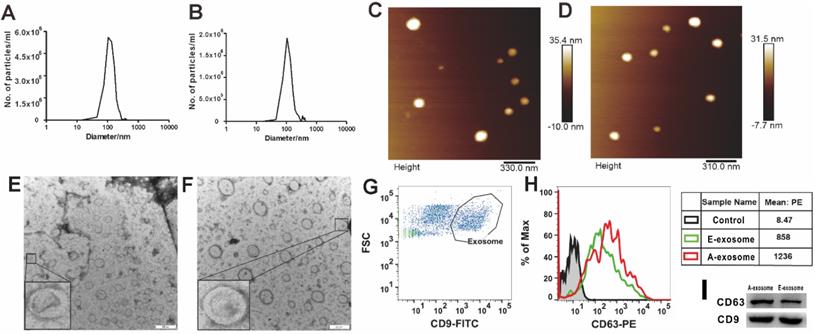 J Cancer Image