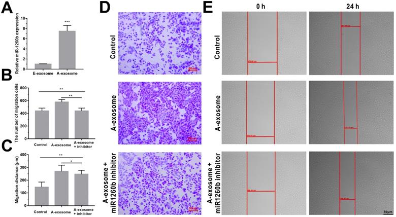 J Cancer Image