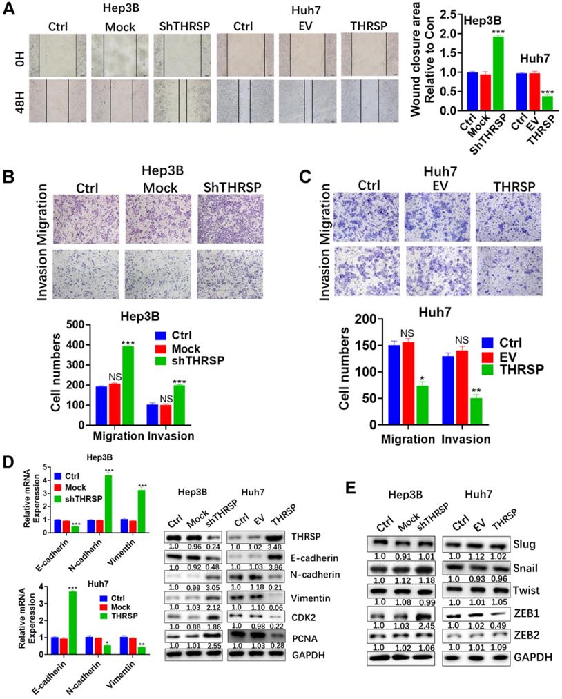 J Cancer Image