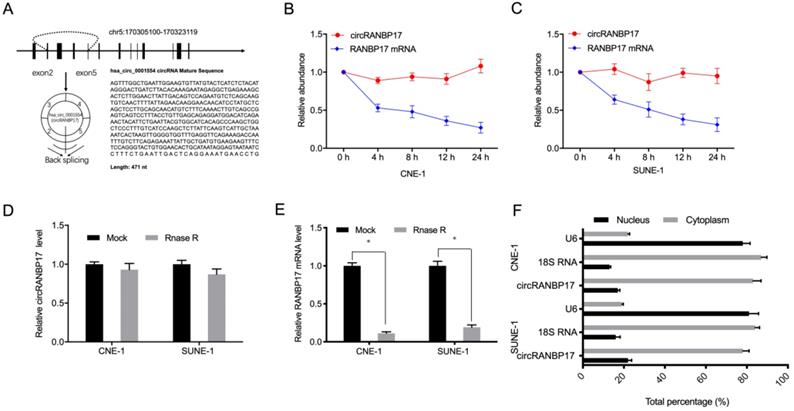 J Cancer Image