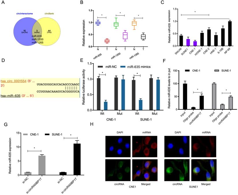 J Cancer Image