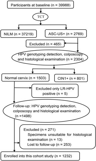 J Cancer Image