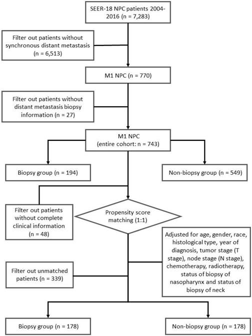 J Cancer Image