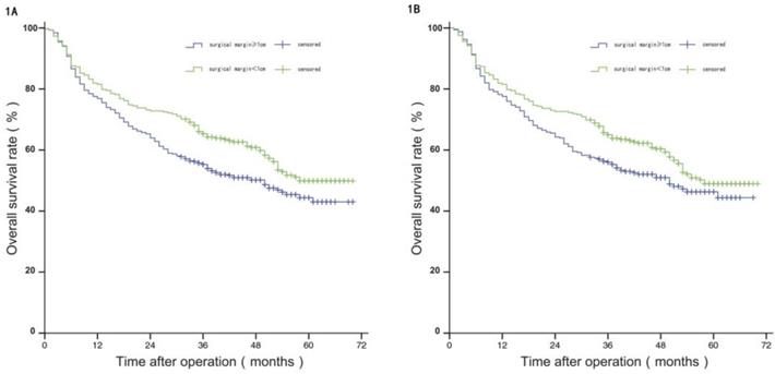 J Cancer Image