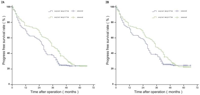 J Cancer Image