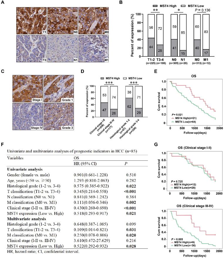 J Cancer Image