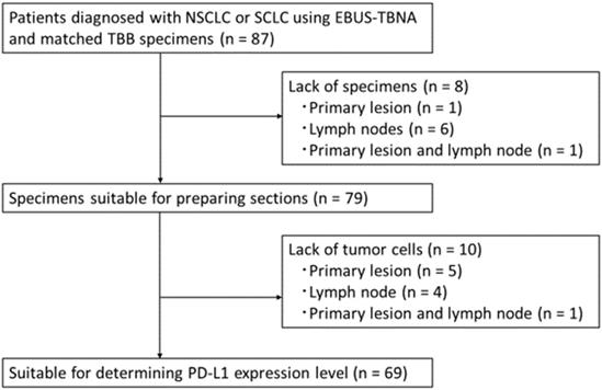 J Cancer Image