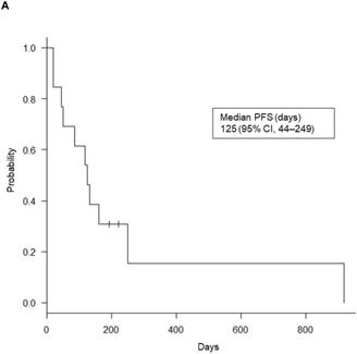 J Cancer Image