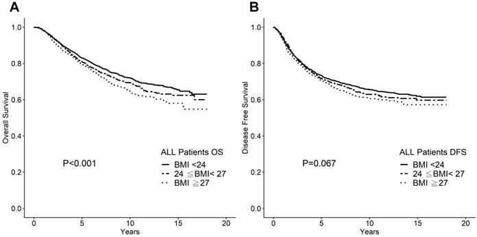 J Cancer Image