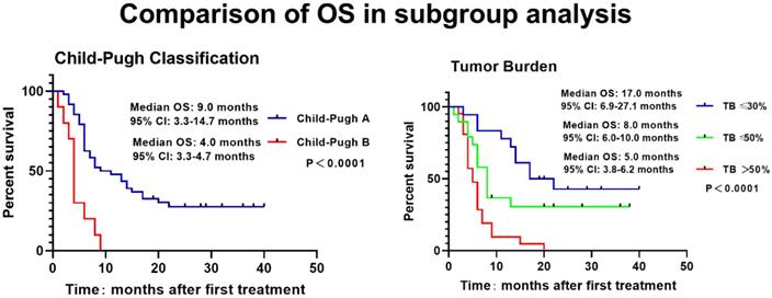 J Cancer Image