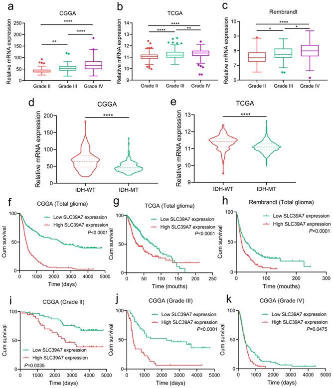 J Cancer Image