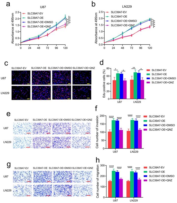 J Cancer Image