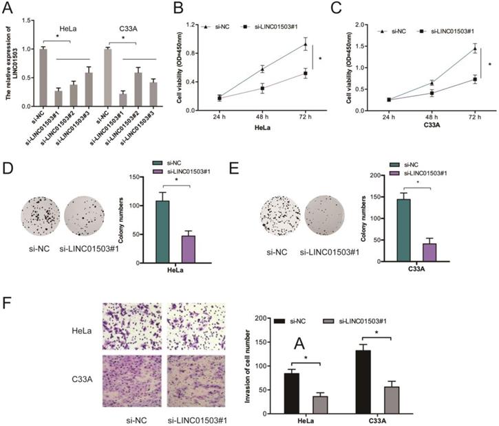 J Cancer Image