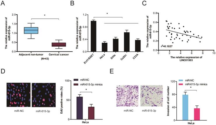 J Cancer Image