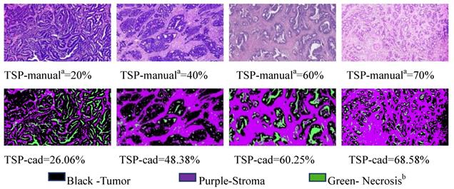 J Cancer Image