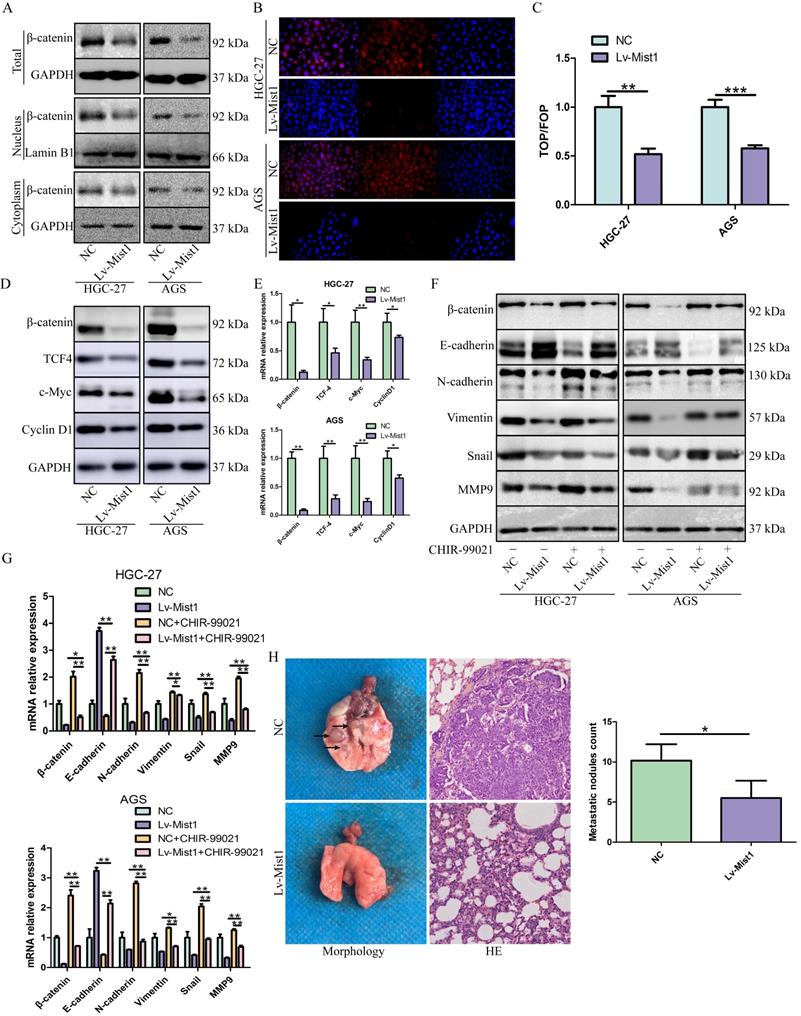 J Cancer Image