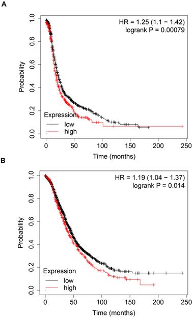 J Cancer Image