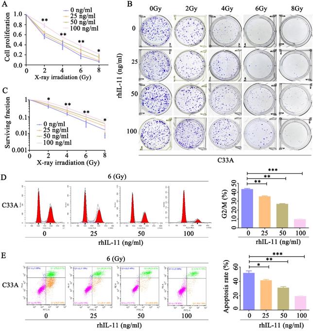 J Cancer Image