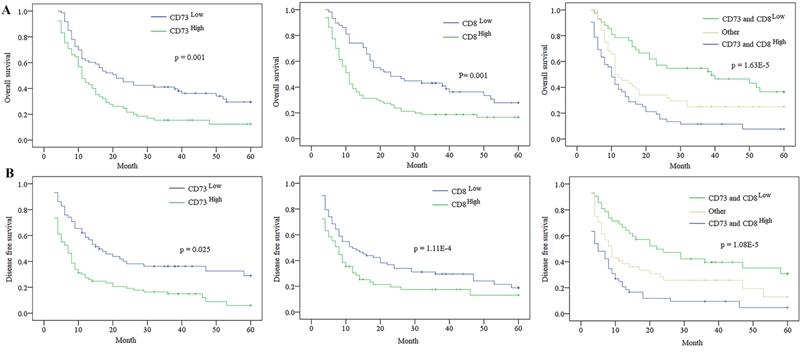 J Cancer Image