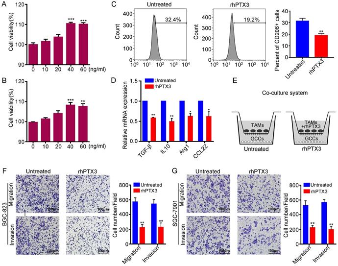 J Cancer Image