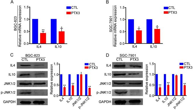 J Cancer Image